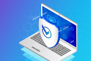 DISC – Secure Online Portal